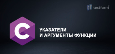 C. Указатели и аргументы функции. Микротест