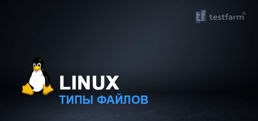 Тесты онлайн - Типы файлов в Linux